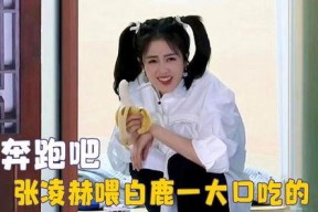 娱乐吃瓜直播白鹿,娱乐界新热点